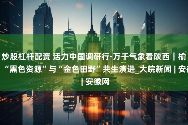 炒股杠杆配资 活力中国调研行·万千气象看陕西｜榆林：“黑色资源”与“金色田野”共生演进_大皖新闻 | 安徽网