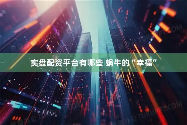 实盘配资平台有哪些 蜗牛的“幸福”